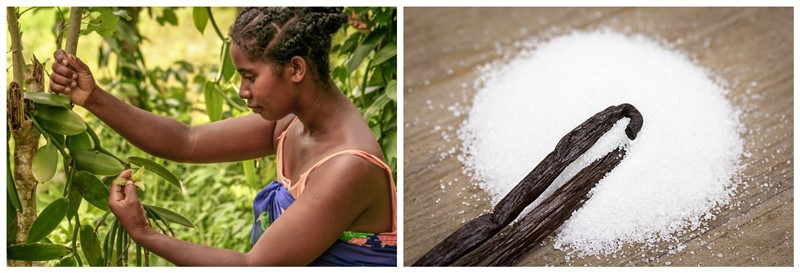 istockphoto-654252582-612x612 istockphoto-654252582-612x612