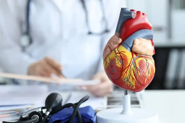 Τι αποτέλεσμα έχουν πεύκα δέντρων στο καρδιαγγειακό σύστημα
