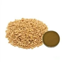 Fenugreek σκόνη εκχυλίσματος