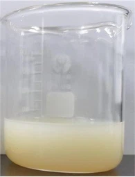 Λιποσωματική βιταμίνη C